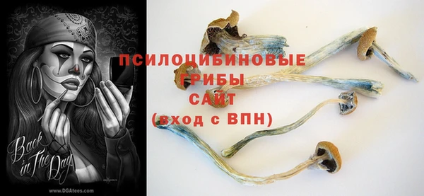 гидра Краснотурьинск