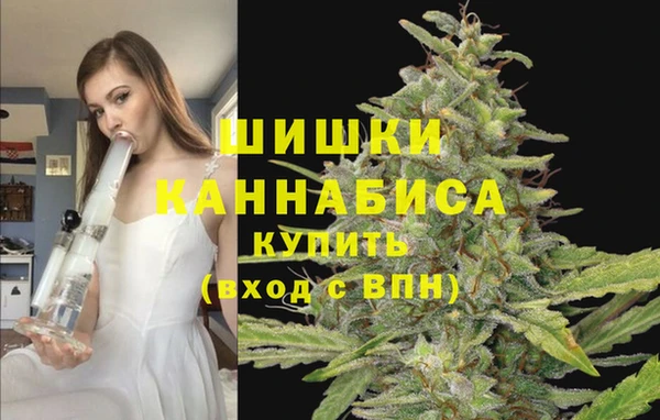 гидра Краснотурьинск