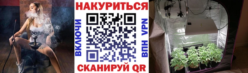 Каннабис планчик Монино
